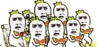 互怼吃瓜,娱乐圈的欢乐“战场”
