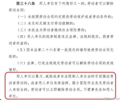 陈志龙吃瓜,揭秘娱乐圈幕后真相