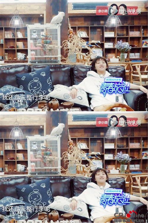 吃瓜中旅舍,揭秘隐秘角落的温馨避风港