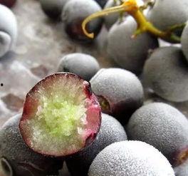 吃瓜不吃葡萄皮,探寻饮食文化的独特魅力