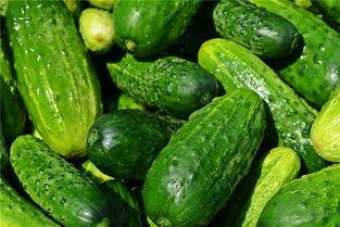 做梦吃生瓜,生瓜美食之旅