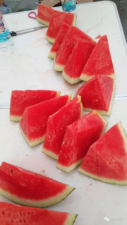 吃瓜大赛吃西瓜,吃瓜大赛西瓜争霸战