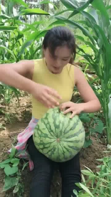 吃瓜小能手辽宁,吃瓜小能手带你领略东北美食风情