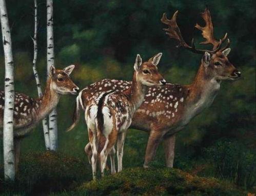 鹿鹿吃瓜日记,揭秘娱乐圈幕后故事