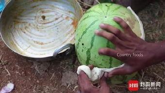 cpu直接烧了吃瓜,吃瓜群众见证科技“烤肉”现场