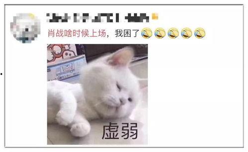 吃瓜段子故事大全,吃瓜段子故事大全精选集