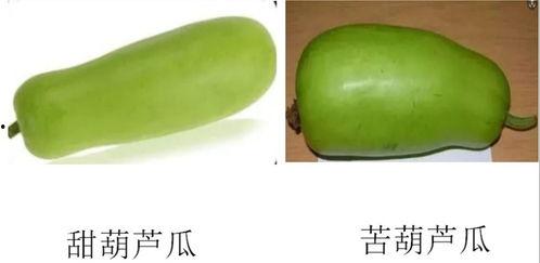 淄博渣男吃瓜事件,揭秘网络舆论下的道德审判与真相探寻