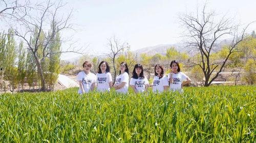 油菜花吃瓜,探寻田园风光中的生态和谐