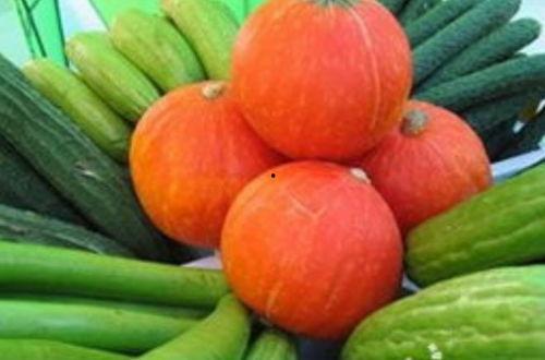 桐乡人吃瓜菜饭店,探寻吃瓜菜饭店的味蕾之旅