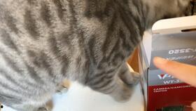 搞笑吃瓜屁,带你领略欢乐无限