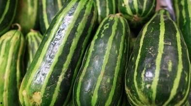 梦见吃梢瓜,探寻梢瓜象征的神秘寓意