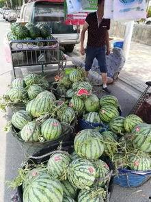 武安疫情吃瓜事件,网络舆论的风暴与反思